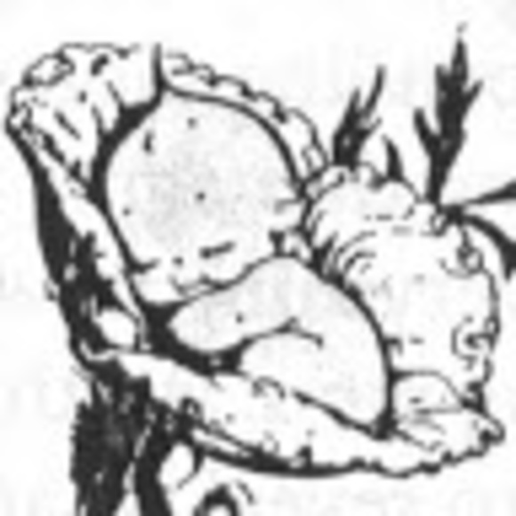 Meet your Posher, Carly - Picture 1 of 1